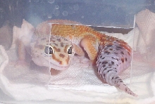 Ron being cute!