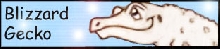 Blizzard Gecko Signature