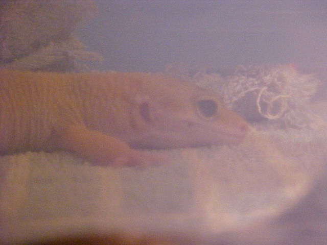 taking a rest