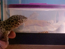trinity checkin out vandal