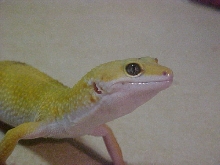 Another pic of vandal