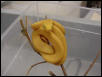Hortulanus Offspring 2001