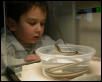 Child & Garter