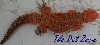 Niger