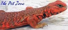 Niger