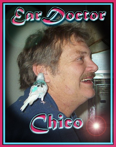 Chico The Ear Doctor
