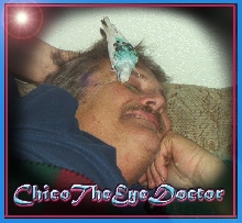 Chico The Eye Doctor Budgie!