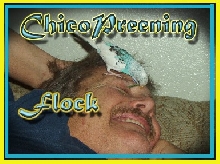 Chico Preening Master!