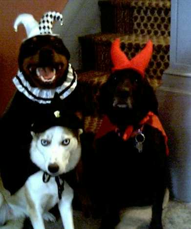 happy halloween