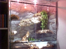 Erised's setup