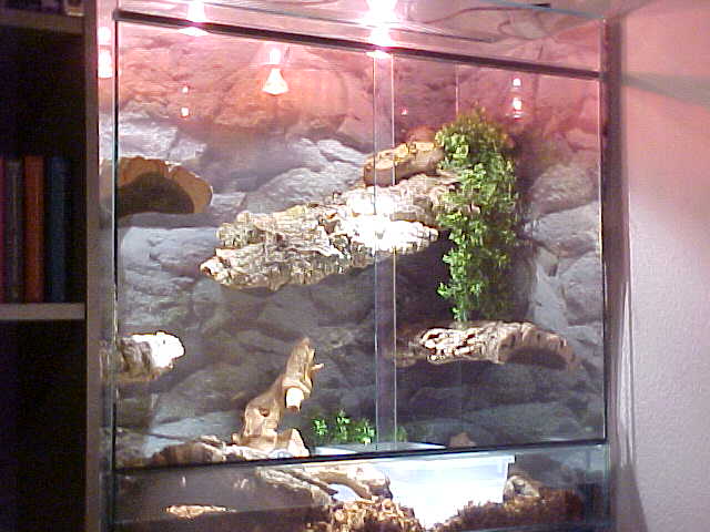 Erised's setup