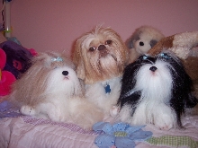Cassey and her friends