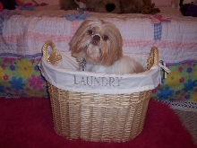 Best Laundry Ever!
