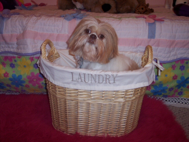 Best Laundry Ever!