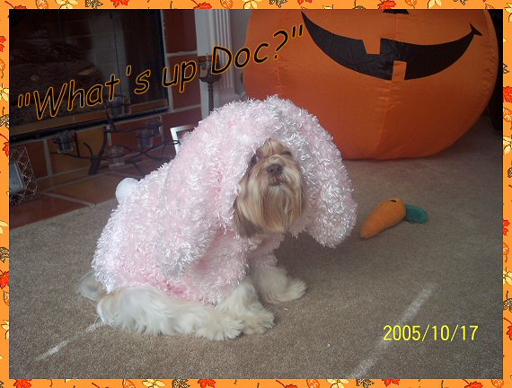 "What's Up Doc?"