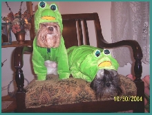 Froggies in Distress!