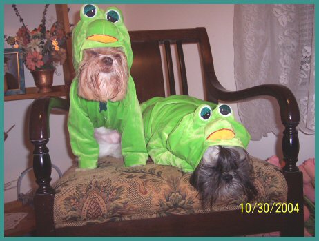Froggies in Distress!