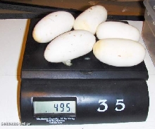 09 Pastel Eggs
