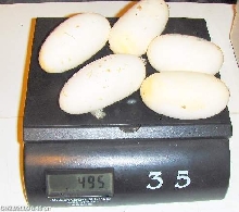 09 Big pastel eggs