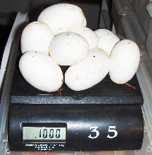 1000 grams of balls