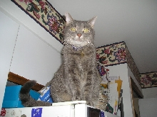 henry