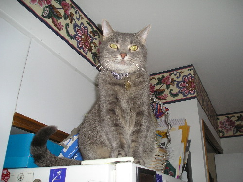 henry
