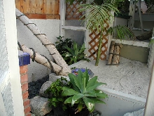 Rhino Enclosure