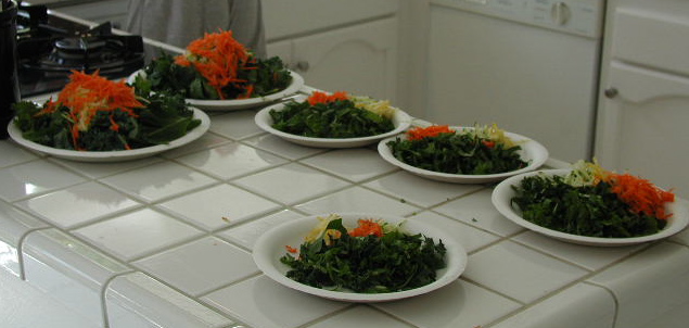 Iguana Food