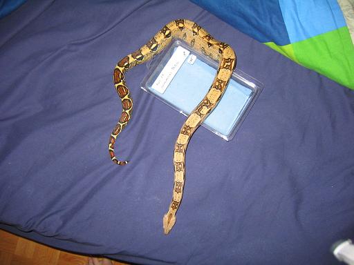 and i did bring him home in taht box just a half a year ago