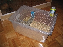 my first rat breeder cage
