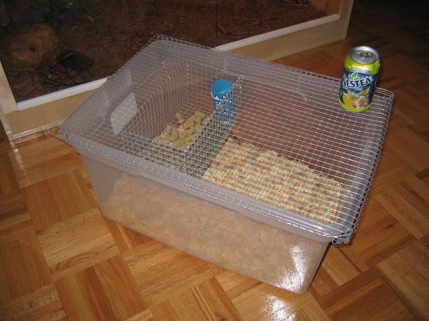my first rat breeder cage