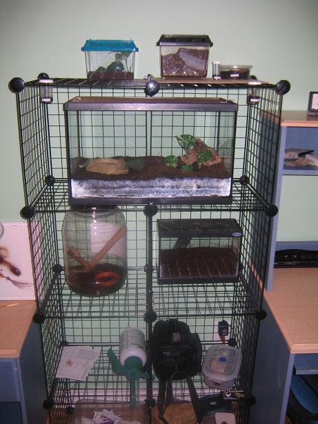 spiderrack