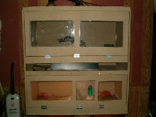 new enclosure