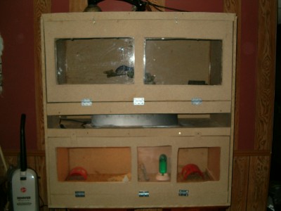 new enclosure