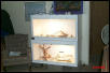 New Beardie Enclosures