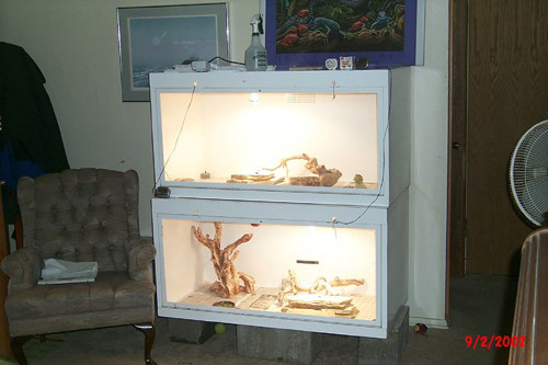 New Beardie Enclosures