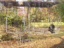 Black Magic's Cage.