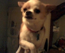 Beaux!