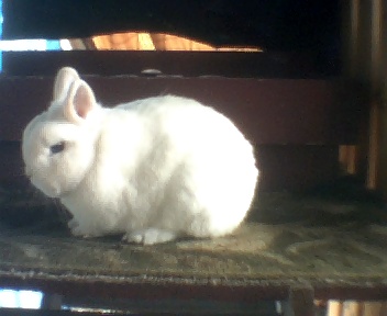 Theo's BEW Boy