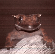 smile!!!