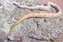 04u.2