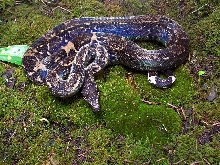 9c
