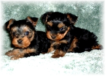 Hugs&Kisses at 12 wks