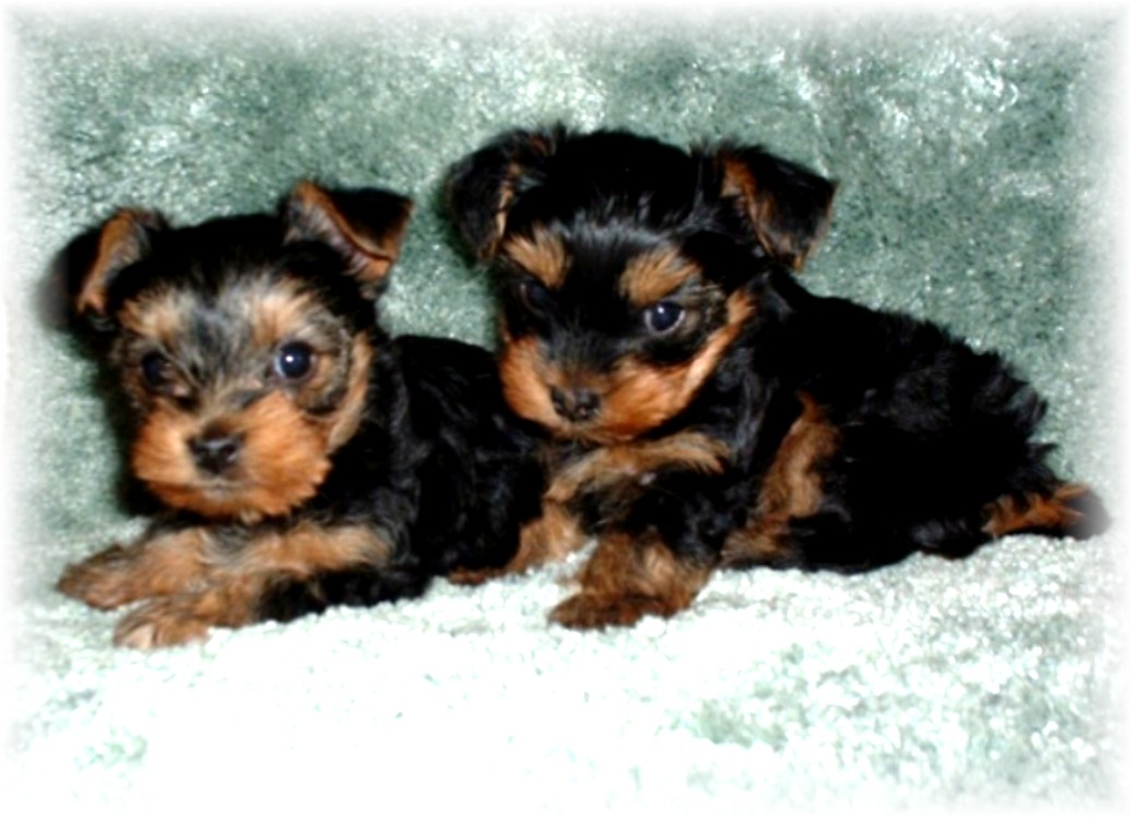 Hugs&Kisses at 12 wks