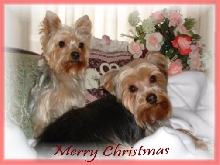 Hugs & Kisses at  Christmas 03