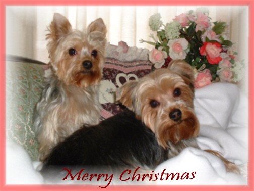 Hugs & Kisses at  Christmas 03