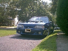 mustang
