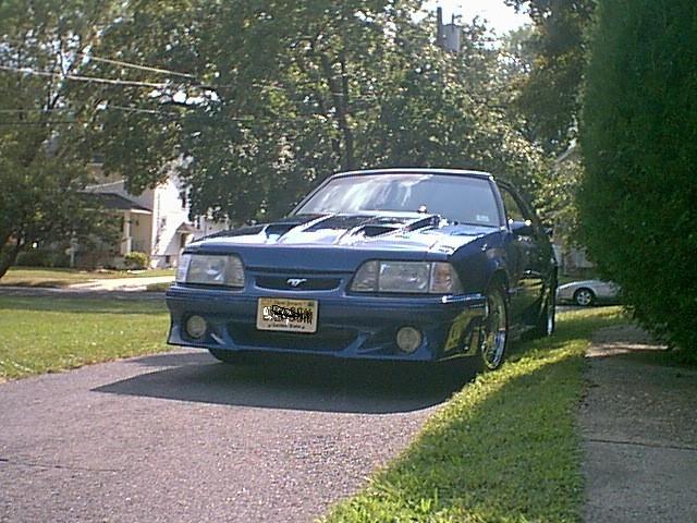 mustang