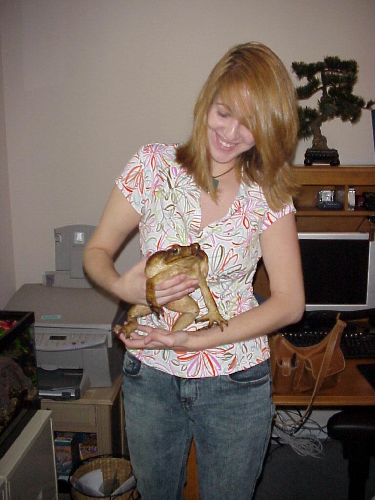 Cane Toad