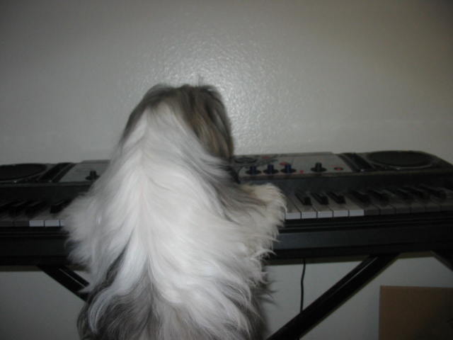 let's sing